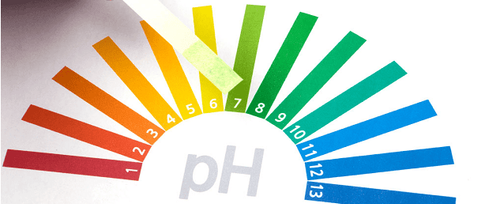 What is normal blood pH? Factors affecting blood pH