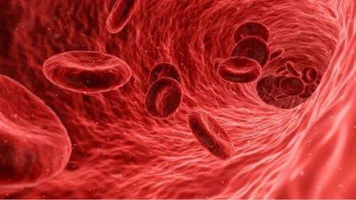 Vitamin B12 deficiency anemia: Symptoms, causes, treatment methods