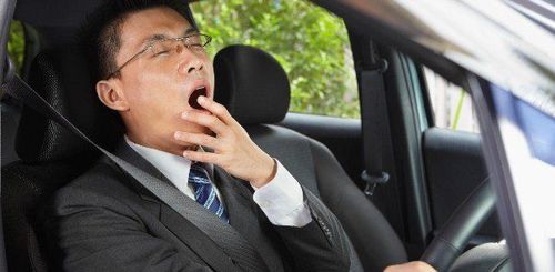 Who is at risk of falling asleep while driving?