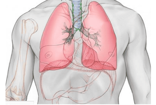 Digital scan to erase the pulmonary artery background