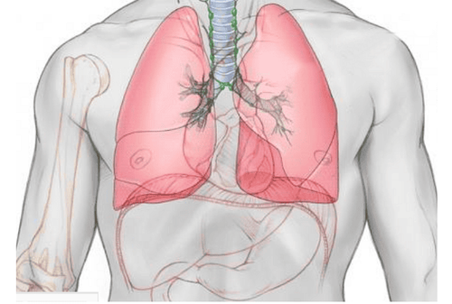 Pulmonary hyperinflation - recognition and treatment