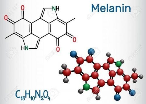 Melanin là gì? Các loại và những rối loạn liên quan