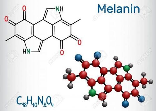 Melanin and Neuromelanin: Similarities and Differences