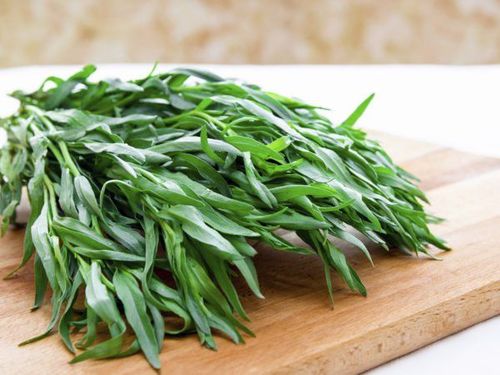 8 surprising benefits and uses of Tarragon