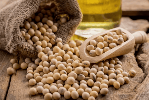 6 lợi ích ấn tượng của hạt đậu nành