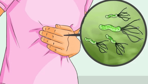 Vi trùng và vi khuẩn: Vì sao chúng ta nên sạch sẽ?