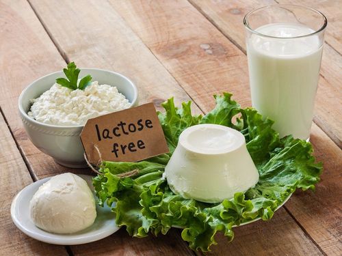 What is Lactose?