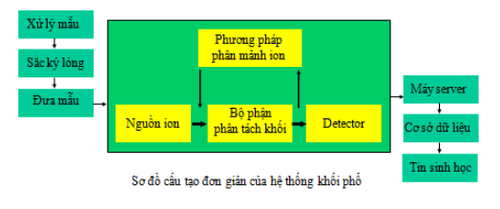 
Sơ đồ đơn giản của hệ thống khối phổ
