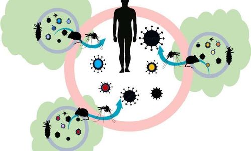 The development and history of epidemiology