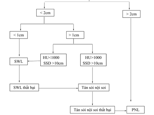 
HU: đơn vị Hounsfield, SSD: khoảng cách từ da đến sỏi thận (Nguồn: Wen CC, Nakada SI. Treatment selection and outcomes: renal caculi. Urol Clin North Am 2007; 34[3]:409-19)
