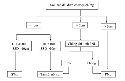 
Nguồn: Galvin GJ, Pearle MS. The contemporary management renal and ureteric calculi. BJU Int 2006; 98:1283-8
