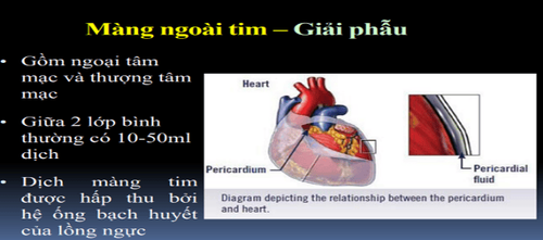 
Giẫu phẫu màng ngoài tim
