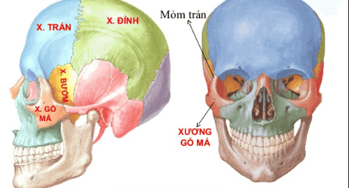 Điều trị và phẫu thuật