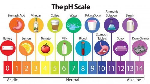
Có thể dùng độ pH để xác định độ axit và độ kiềm của các loại thực phẩm
