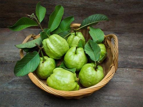 Should you eat guava during pregnancy?