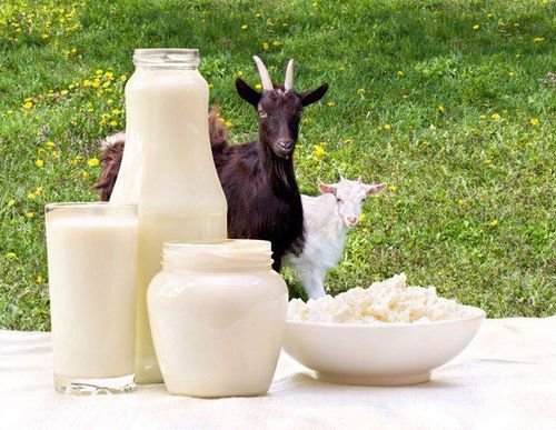 Does goat milk contain lactose?