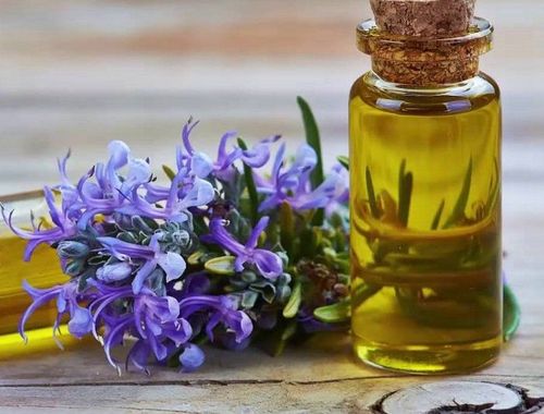 14 lợi ích và công dụng của tinh dầu hương thảo