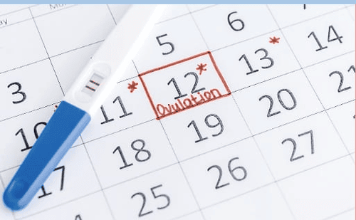 On the 27th day of the month, when do you ovulate?