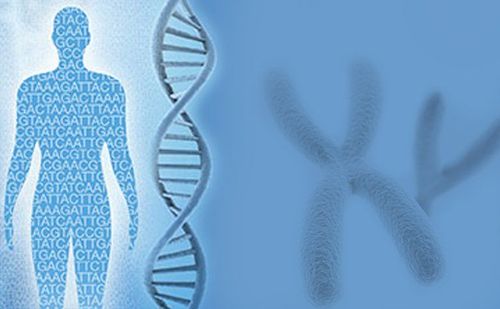 New generation gene sequencing test and its application in prenatal diagnosis