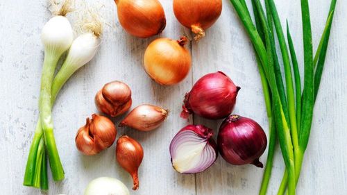 Scallions vs Onions: What's the Difference?