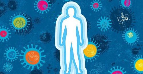 Did you know: How the immune system fights to protect the body