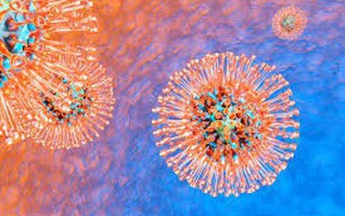 Herpes simplex virus type 1 and type 2