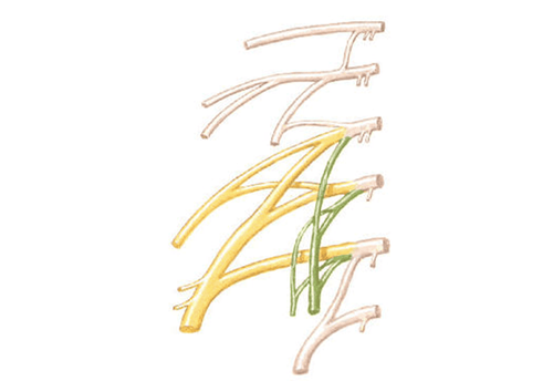 Injury to the lumbar nerve plexus