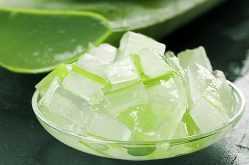 Is aloe vera poisonous?