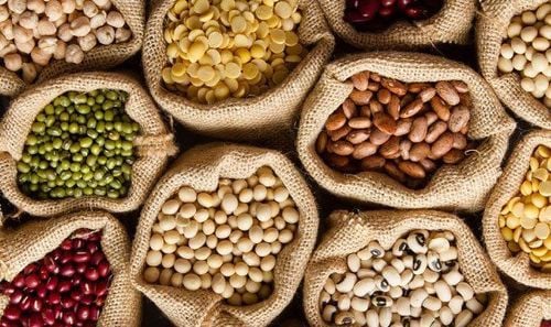 Which nuts are rich in protein?