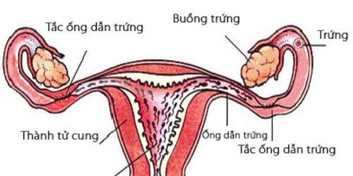 Điều trị hiếm muộn, tăng khả năng sinh sản: Các lựa chọn của bạn