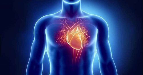 Cardiovascular physiology in general anesthesia