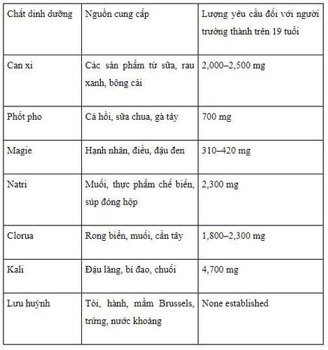 Vi chất dinh dưỡng: Phân loại, chức năng