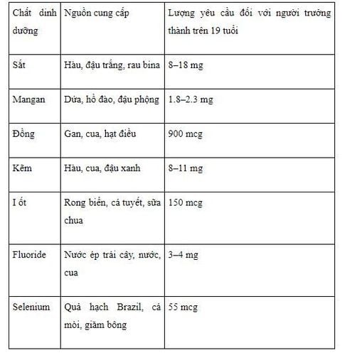 Vi chất dinh dưỡng: Phân loại, chức năng