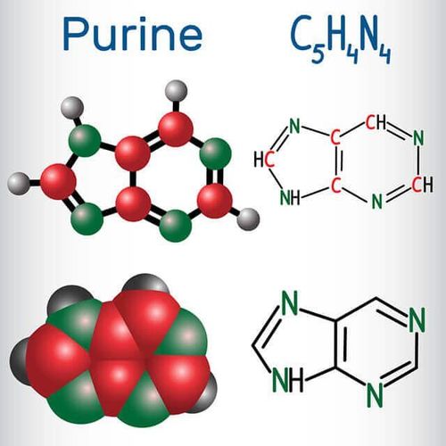 
Purin
