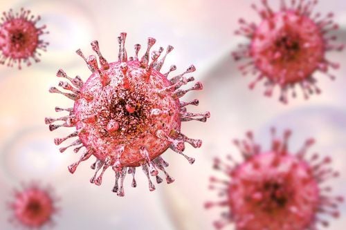 Tổng quan chung về cytomegalovirus - Phần 1