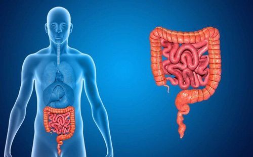 Gastrointestinal fistula: Diagnosis and treatment