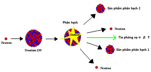 
Liệu pháp iốt phóng xạ giúp người bệnh sống lâu hơn nếu họ bị ung thư tuyến giáp thể nhú hoặc thể nang
