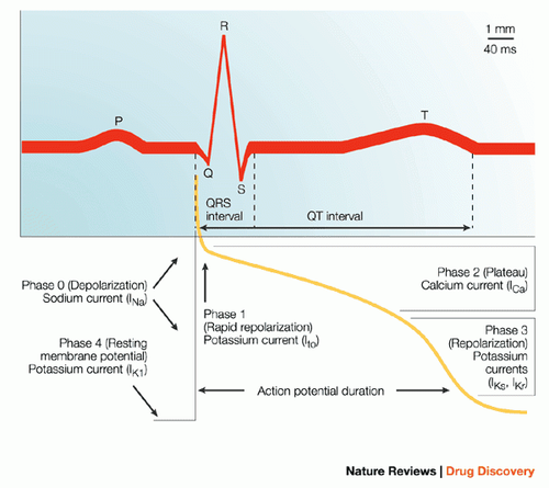 Update on congenital long QT syndrome