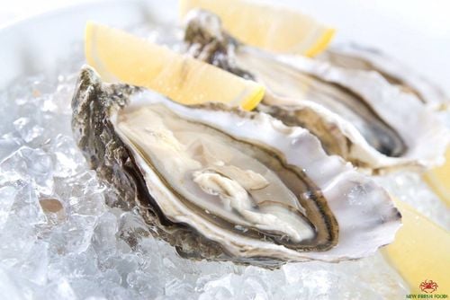 Can pregnant women eat oysters?