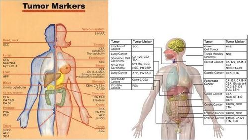 Biomarkers in oncology