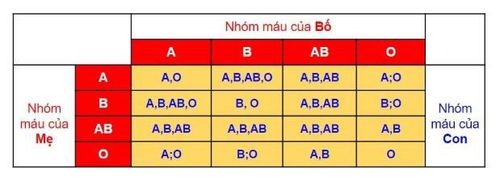 ABO blood group