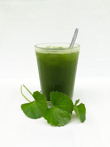 Does drinking gotu kola juice affect the menstrual cycle?