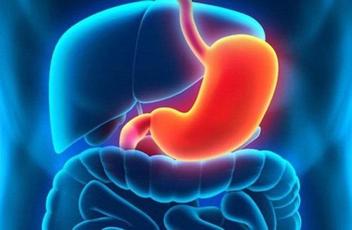 Autoimmune gastritis and related diseases