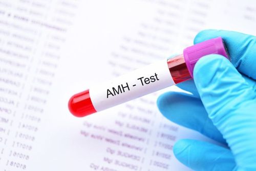 "Decoding" AMH and fertility related