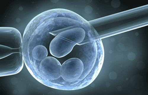 Evaluation of the implantation window in artificial insemination (ERA test)