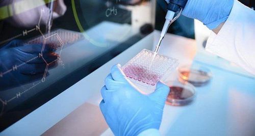 Có thể điều trị mất nhiễm sắc thể 18 bằng phương pháp cấy tế bào gốc không?