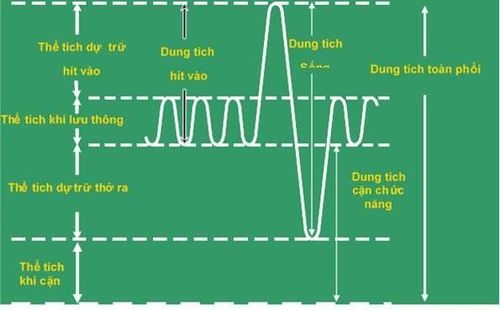 
Hình 2. Các thể tích và dung tích phổi.
