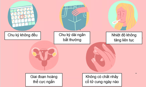 
Một vài dấu hiệu biểu hiện không có rụng trứng
