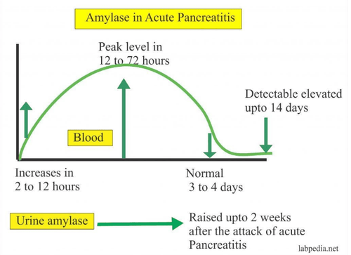 
Amylase giảm trong các trường hợp nào?
