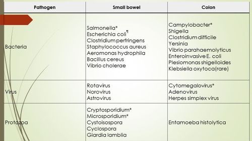 Acute diarrhea in adults